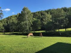 -塞罕坝国家级自然保护区