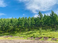 -塞罕坝国家级自然保护区