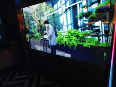 -温莎KTV(珠江路店)