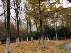 -白塘生态植物园