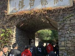 -藏龙百瀑风景区