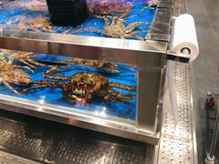 水产区-盒马鲜生(龙德广场店)