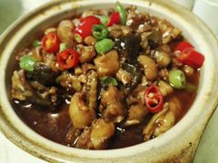 -丁老爷子苏香圆