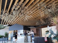 -Seesaw Coffee(朝阳大悦城店)