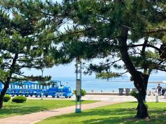 -巧克力渔家.小船海鲜家常菜(三浴场店)