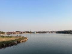 -上海都市菜园