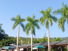 -林丰温泉度假山庄