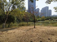 -艾溪湖湿地公园