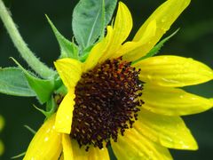 -玄武湖景区-情侣园游乐场