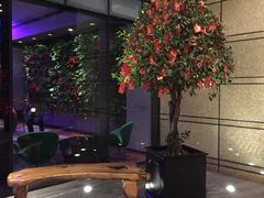 -上海外滩英迪格酒店