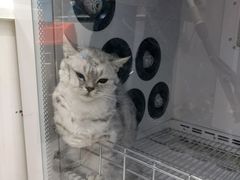 -宠颐生动物医院·心脏科·保险定点(锦阳分院)