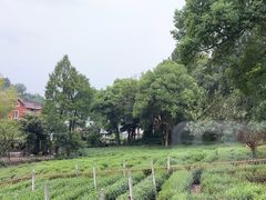 -野蔓果·山野菜(西湖景区·龙井茶田店)