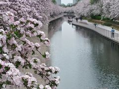 -海棠花溪(元大都城垣遗址公园)