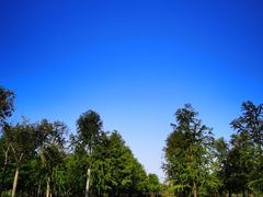 -春花秋色城市公园