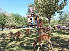 -北京鹿世界主题园