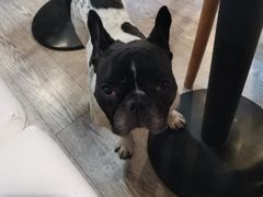 -小时光咖啡馆(北锣鼓巷店)