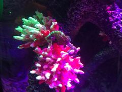 -沈阳海洋探索中心