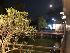 -锡才大羽羽毛球馆(深港花卉店)