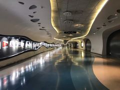 -西贝(上海中心店)