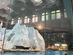 -帝企鹅自助餐厅•儿童岛•真企鹅(长隆企鹅酒店)