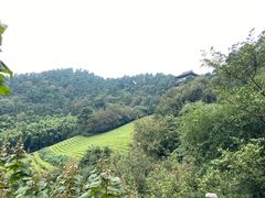 -敬亭山风景名胜区