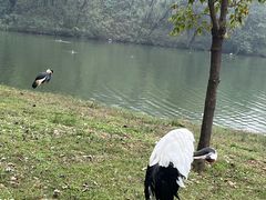 -秦皇岛野生动物园