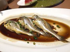 宁海食府(北岸琴森店)-宁海食府(大剧院店)