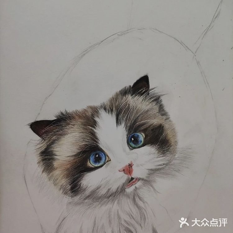 我的毛孩子[亲亲]