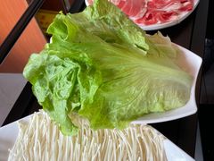 -蝎王府羊蝎子(嵩山南路店)