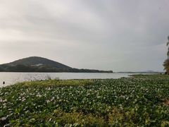 -长广溪湿地公园