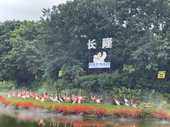 -广州长隆飞鸟乐园