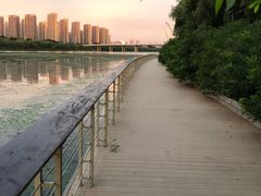 -长白岛森林公园