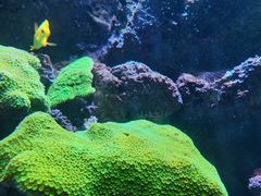 -海合安青岛极地海洋公园