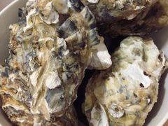 生蚝-众彩物流水产市场