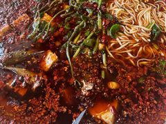 -胖大姐黄辣丁鱼庄(新津店)