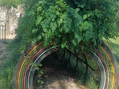 -嘉北郊野公园