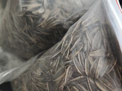 -城隍庙小礼品市场(福佑商厦福佑路店)