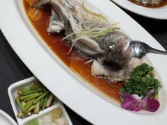 -艳阳天民俗村(公园路店)