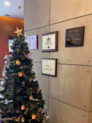 -苏亚医美·高端注射明星整形机构