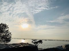 -宝安西湾红树林湿地公园