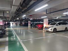 -上海海昌海洋公园-停车场
