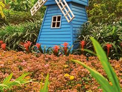 -南宫五洲植物乐园