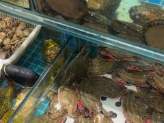 -渔码头食府·20年蓬莱老字号(登州路店)