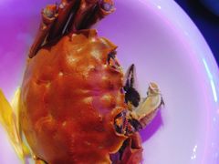 清蒸大闸蟹-蟹榭·本帮江浙菜·蟹宴(五角场合生汇商场店)