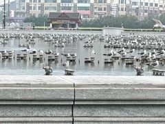 -星海广场
