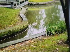 -无锡梁鸿湿地丽笙度假酒店·流觞西餐厅