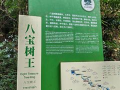 -莫里热带雨林景区