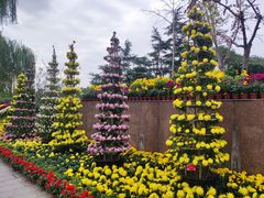 -上海大学(宝山校区)