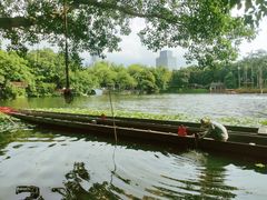 -荔湾湖公园