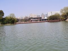 -青枫公园